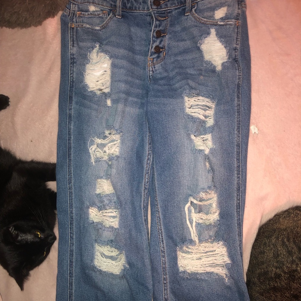 Hollister Light Blue Distressed Flare Jeans